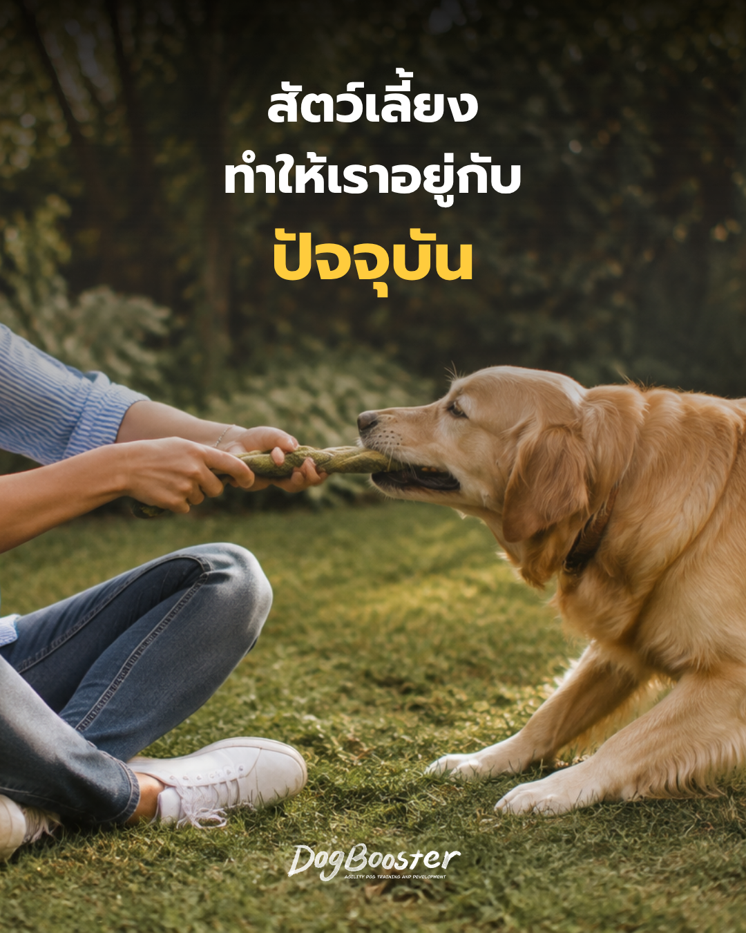 เจ้าของนั่งเล่นเกมกับสุนัขบนสนามหญ้า สื่อถึงการอยู่กับปัจจุบันร่วมกัน