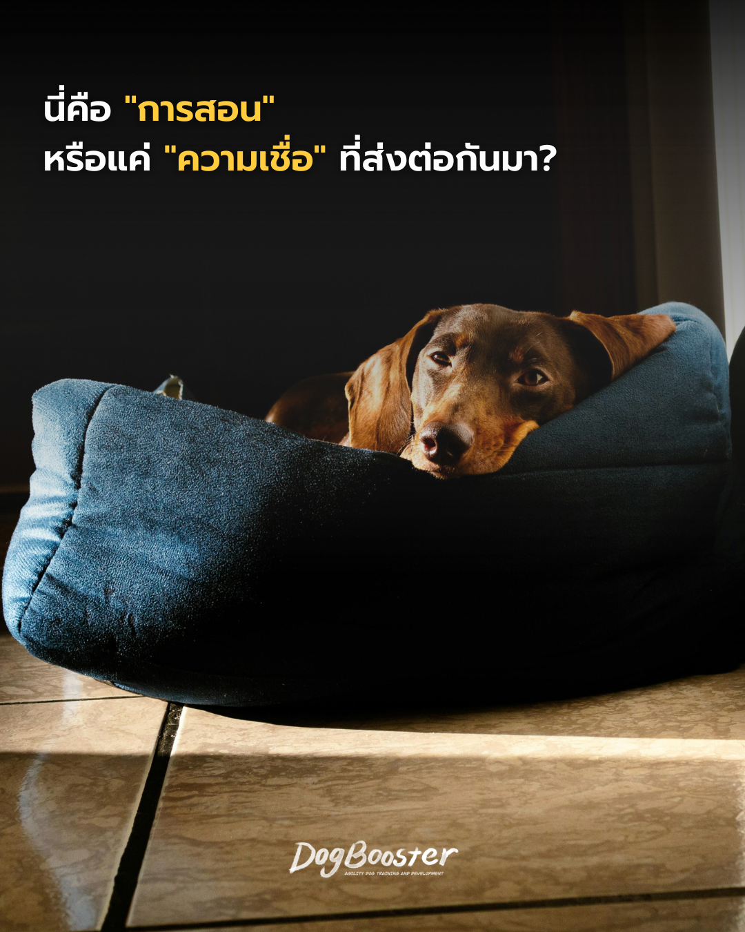 การสอนหรือความเชื่อ