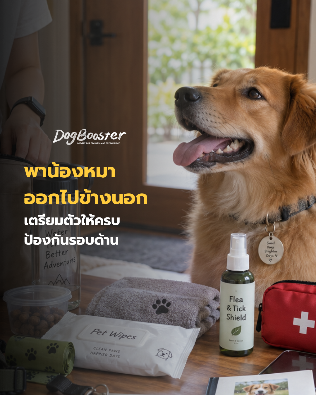 เจ้าของเตรียมกระเป๋าอุปกรณ์ก่อนพาสุนัขออกไปเดินเล่นข้างนอก