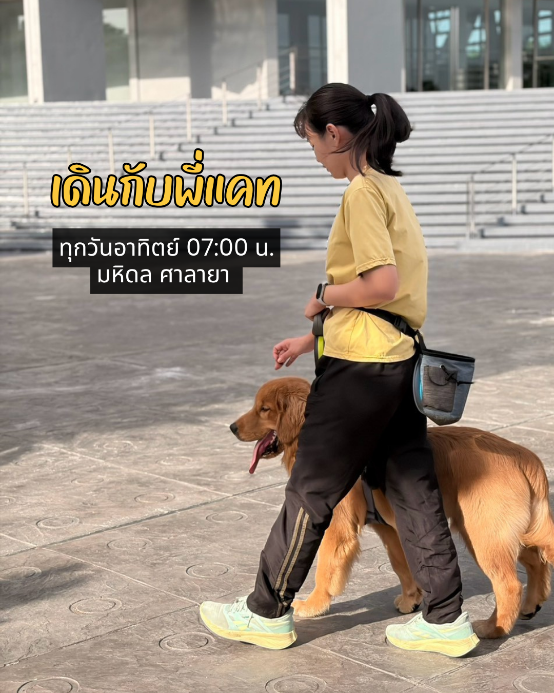 Walk with Katnich