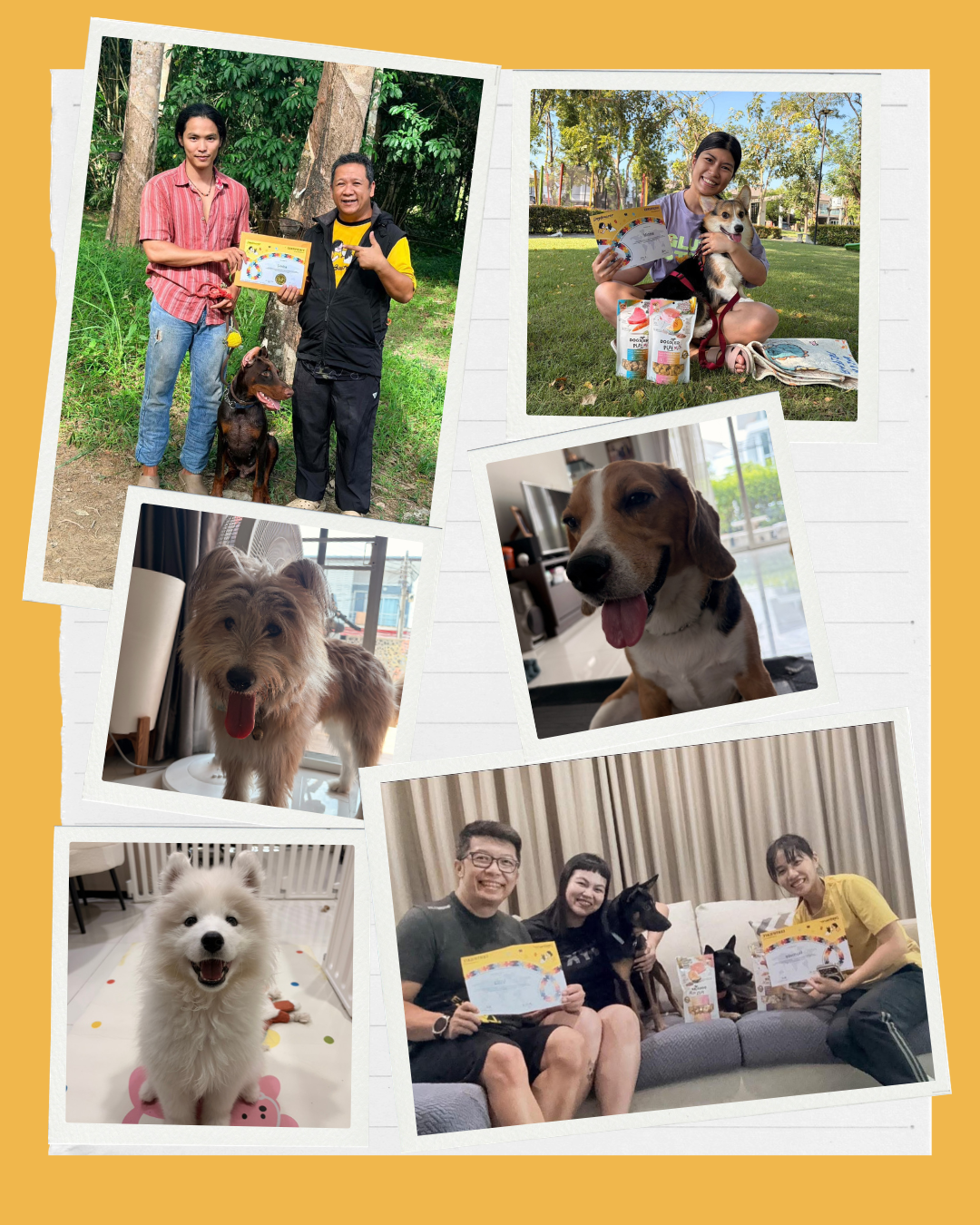 ฝึกส่วนตัวกับครู