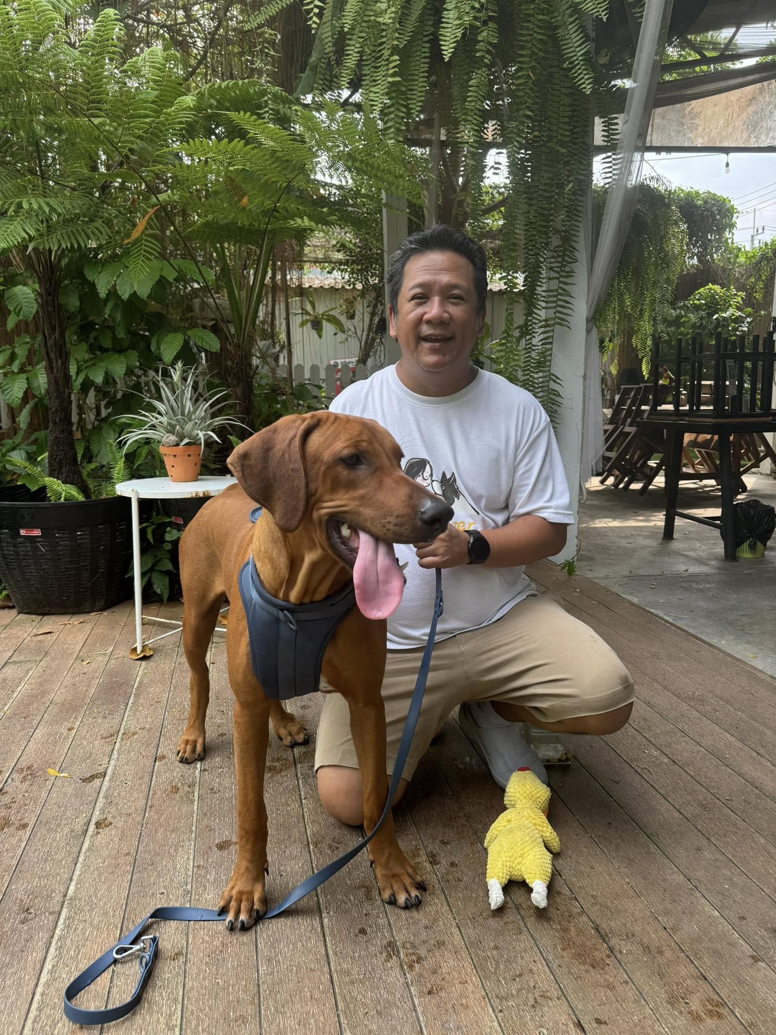 สาขาระนอง 2