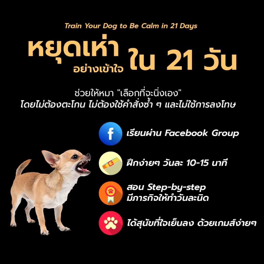 หยุดเห่าอย่างเข้าใจ